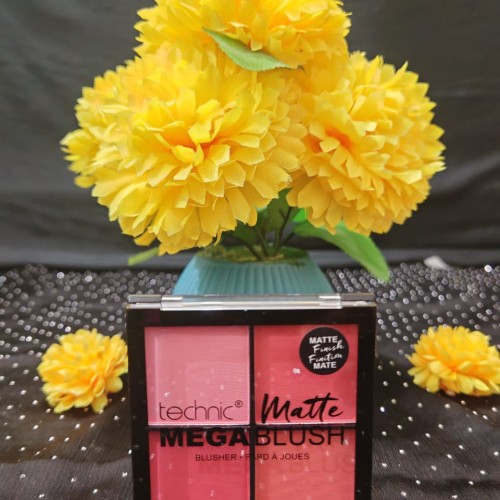 Technic Blusher