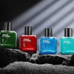 Wild Stone Parfum